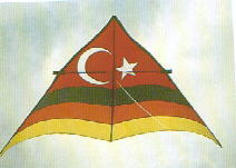 Turkey Flag Kite