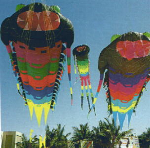 Desert Kites